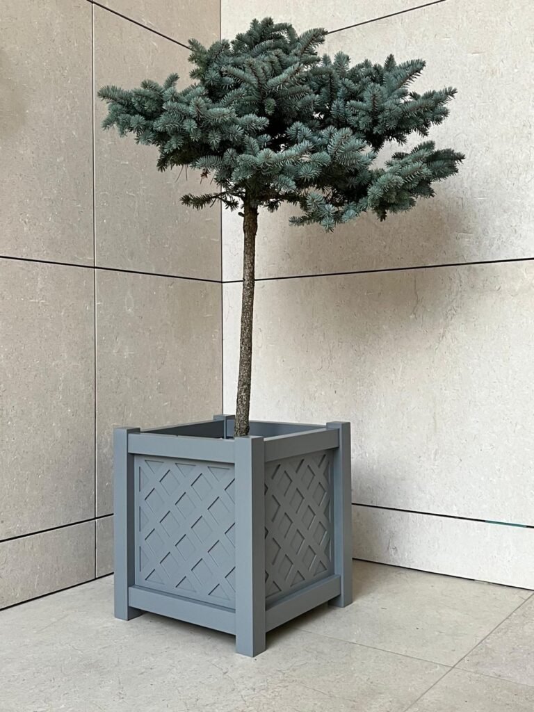 Ein grauer quadratischer Pflanzkübel mit dekorativem Gittermuster steht auf einer modernen Terrasse vor einer Steinwand und ist mit einer formgeschnittenen kleinen Fichte bepflanzt