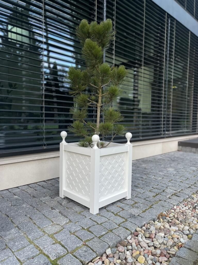 Ein weißer quadratischer Pflanzkübel mit dekorativem Gittermuster und Kugelaufsätzen steht auf einer gepflasterten Terrasse vor einem modernen Gebäude mit großen Fenstern und Jalousien, bepflanzt mit einer kleinen Kiefer
