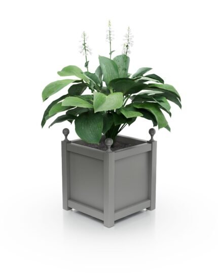 Kompakter Aluminium Pflanzkübel Imperial Glatt B 37×37×40 cm mit Eckkugeln
