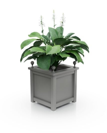 Kleiner Aluminium Pflanzkübel Imperial Glatt BS 37×37×40 cm mit breitem Rand und Eckkugeln