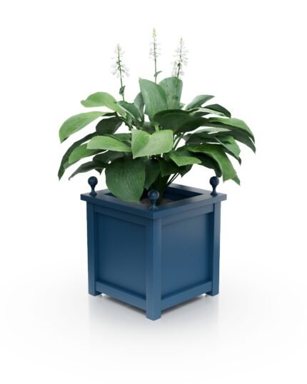 Edler Aluminium Pflanzkübel Imperial Glatt BS 77×77×75 cm mit breitem Rand und Eckkugeln in Azure Blue