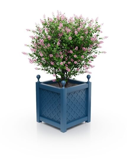 Quadratischer Aluminium-Pflanzkübel Royal mit Rautenmuster B 57×57×60 cm in Azurblau RAL 5009 mit dekorativen Eckkugeln.