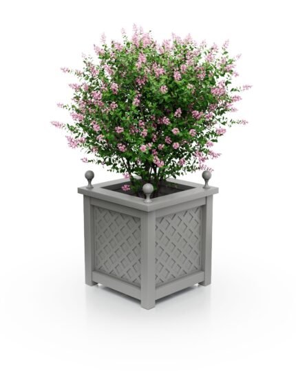 Royal Aluminium Pflanzkübel 37×37×40 cm, exklusiv in Dust Grey (RAL7037), quadratisch, robust und elegant im Außenbereich