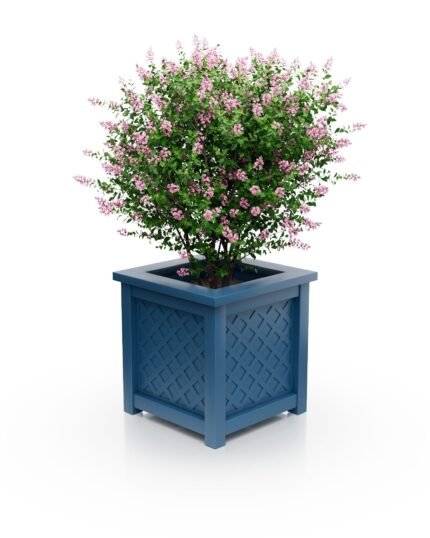 Aluminium-Pflanzkübel Royal Rautenmuster S 77×77×75 cm in Azurblau (RAL 5009) mit breitem Rand.